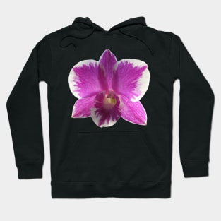 Purple Orchid Hoodie